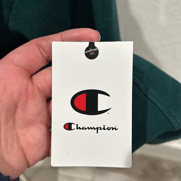 CHAMPION VINTAGE WAVE WASH ZIP-UP HOODIE IN WASHED Green Size M - Picture 3 of 7